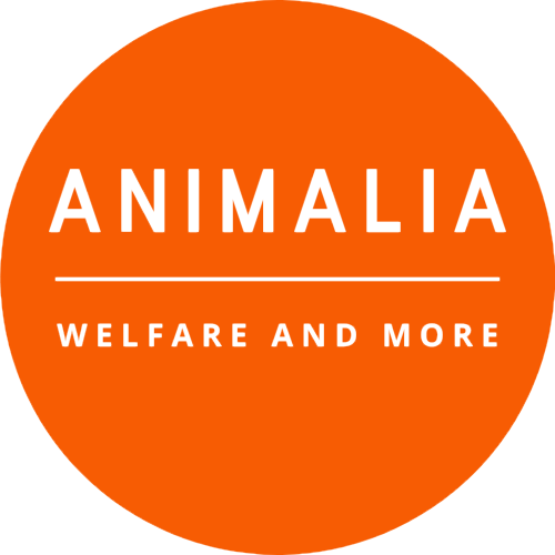 Animalia — welfare and more
